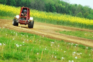  A toda velocidad por la naturaleza 